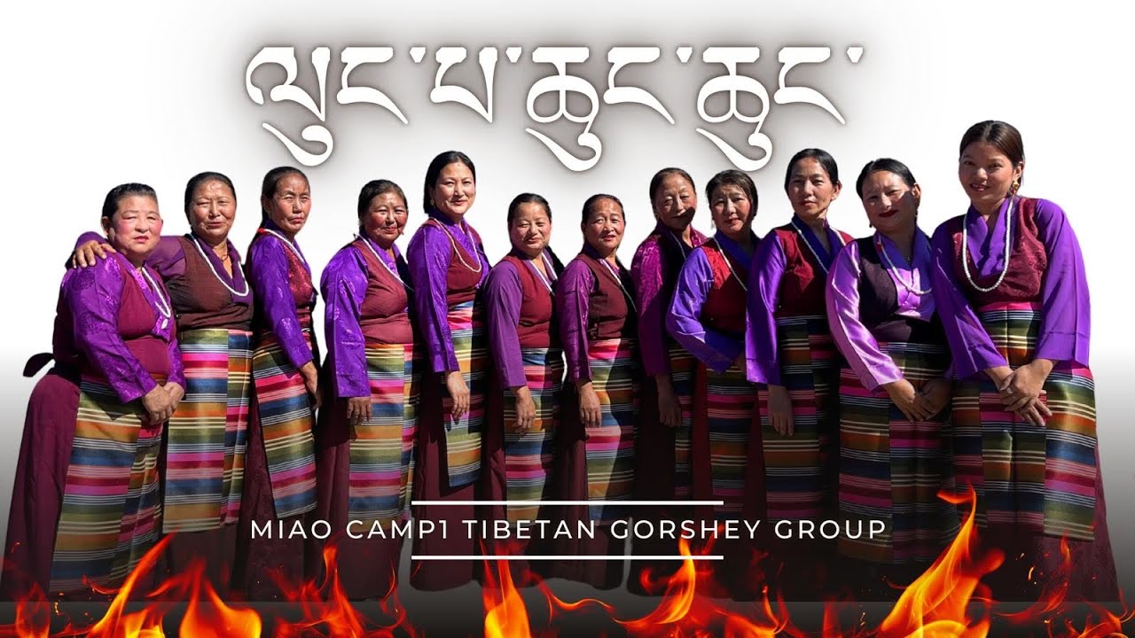 Tibetan Evergreen Song ལུང་པ་ཆུང་ཆུང་  Lungpa chung-chung #trendinggorshey #tibetansong @MiaoCamp1 