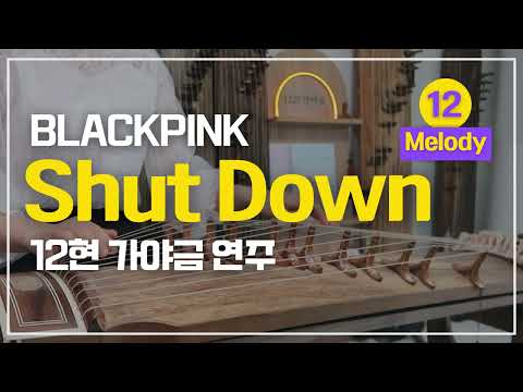 Shut Down [12현 멜로디 / 25현 멜로디] (Dm, Bbm) - BLACK PINK