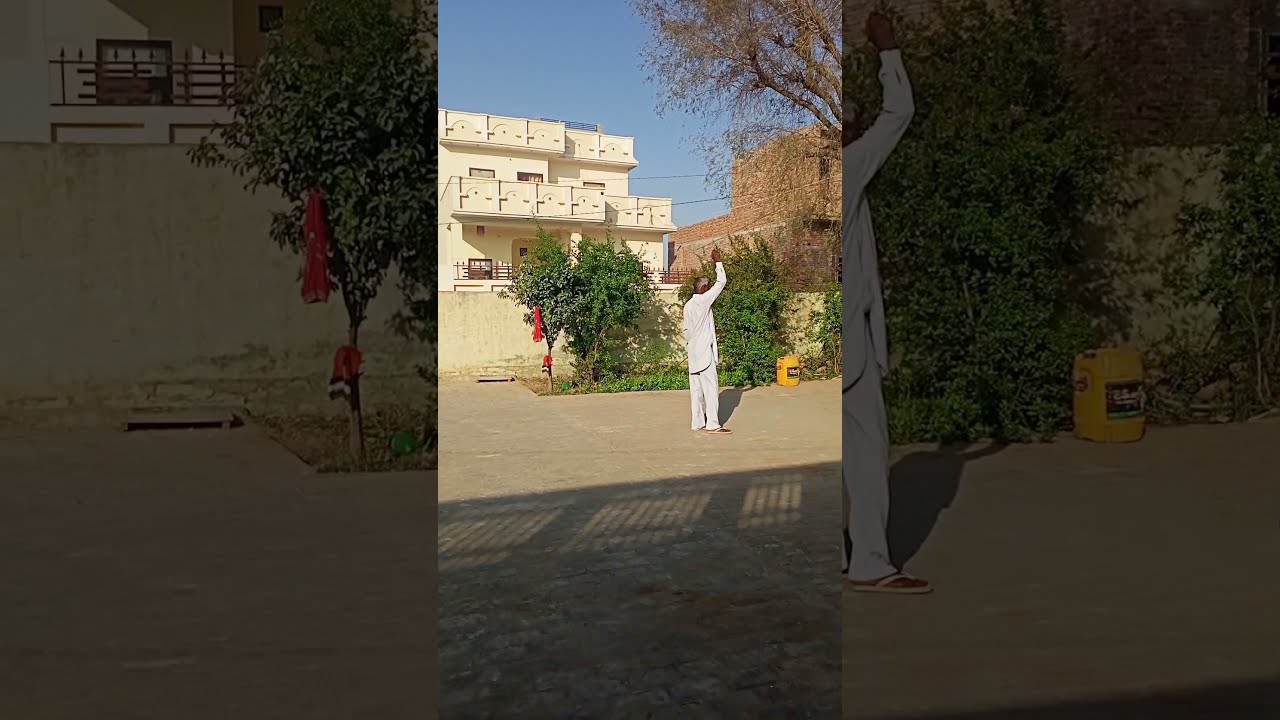 Poonam pandit dance video