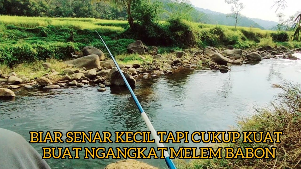 TES SENAR 0,06MM G-FORCE DARI SABPOLO ll TERNYATA KUAT BUAT NGANGKAT MELEM BABON