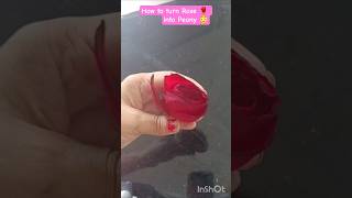 🌹 How to turn flowers into Peony 😳 #flowers #hacks #trending