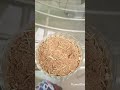 hair shampoo for healthy shine growth long hair ✨️