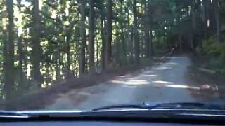 代車ワゴンRでR166高見峠旧道