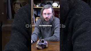 СВИНЬИ помогли нам ЭВОЛЮЦИОНИРОВАТЬ | Дробышевский  #наука  #дробышевский