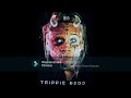 Trippie Redd Reality Slowed mp3