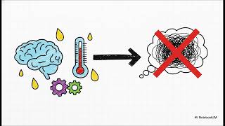What causes hot flushes and why do they happen? | WHC Clinical FAQ
