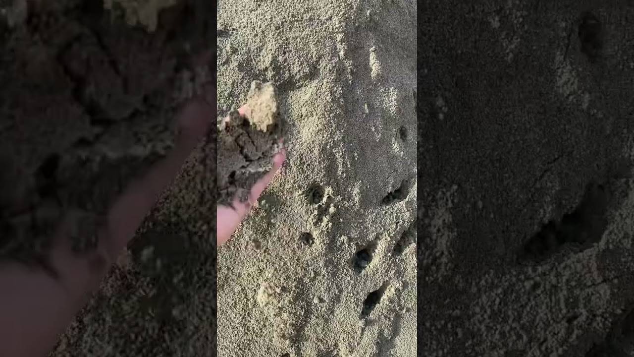 Sand quality for construction 