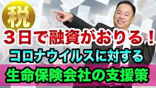 【３日で、資金繰りを有利に】生命保険の契約者貸付を活用する【公庫のコロナ融資の弱点】保険料の支払いも延長可能と運転資金