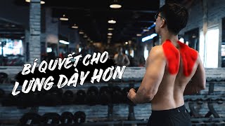 Cách tập cho LƯNG 3D DÀY HƠN bằng cả tạ và Calisthenics | How To Have Thicker Back | SHINPHAMM