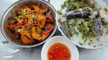 Món cá lóc um rau ngỗ nước cốt dừa cùng với cá lóc kho khô ăn quá bắt cơm#bữacơmquênhà#