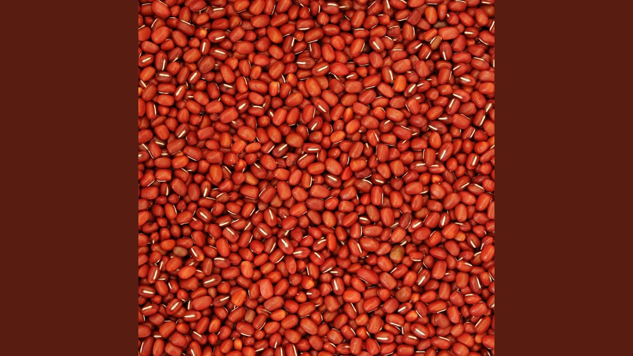 Beans (The Magical Fruit) YouTube