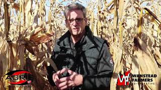 Comparing Corn Hybrids