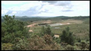 Biodiversity - A priority at Aggregate Industries