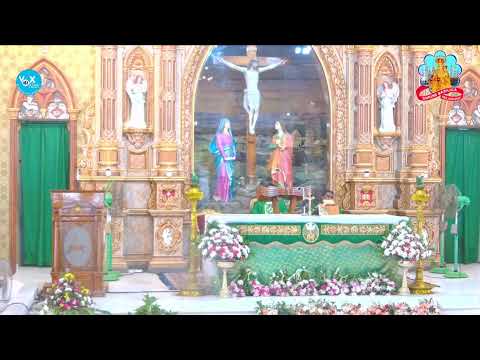 🔻 LIVE MASS || വേളാങ്കണ്ണി പള്ളിയിൽ നിന്ന് മലയാളം ദിവ്യബലി തത്സമയം || (MON to SAT 9 AM)