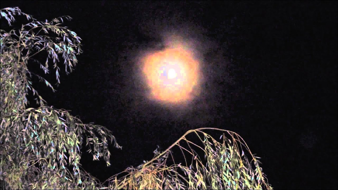 Tea for one Joe Bonamassa with Doug Henthorn. YouTube