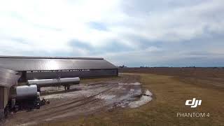 Marieke Gouda and the Penterman Farm | Thorp, WI