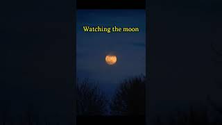 When Life Hits Different Part-7.Suzume