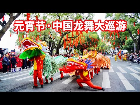万人空巷！中国大江南北的“龙”都来这里巡游了！龙行龘龘！中国龙舞大巡游元宵节舞动惠州/Lantern Festival/Chinese Dragon Dance Parade/Huizhou