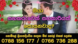 Mangala Yojana | Mangala Sewaya | Marriage Proposal | මංගල යෝජනා සේවය | මංගල දැන්වීම් | kula gedara screenshot 3