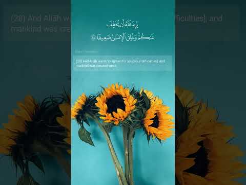 والله يريد أن يتوب عليكم تلاوة رائعة ومريحة للشيخ الحصري الحصري 