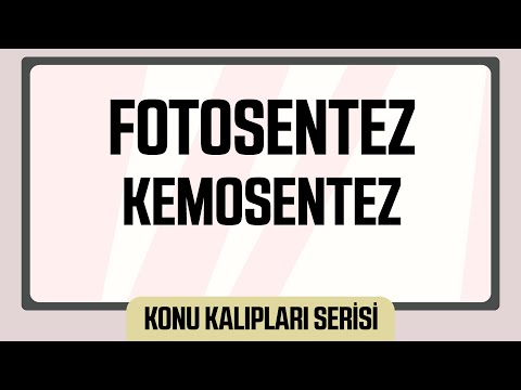 FOTOSENTEZ - KEMOSENTEZ (AYT KONU KALIPLARI SERİSİ)