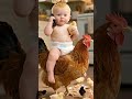 Baby Riding Chicken With Cute Chicks Funny Baby Video Cutest Moments Ever Babybunny Comedy Baby Riding Chicken With Cute Chicks Funny Baby Video Cutest Moments Ever Babybunny Comedy