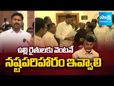 YS Avinash Reddy Mass Warning to Chandrababu Govt Over Onion Farmers Compensation Issue | Sakshi TV - SAKSHITV