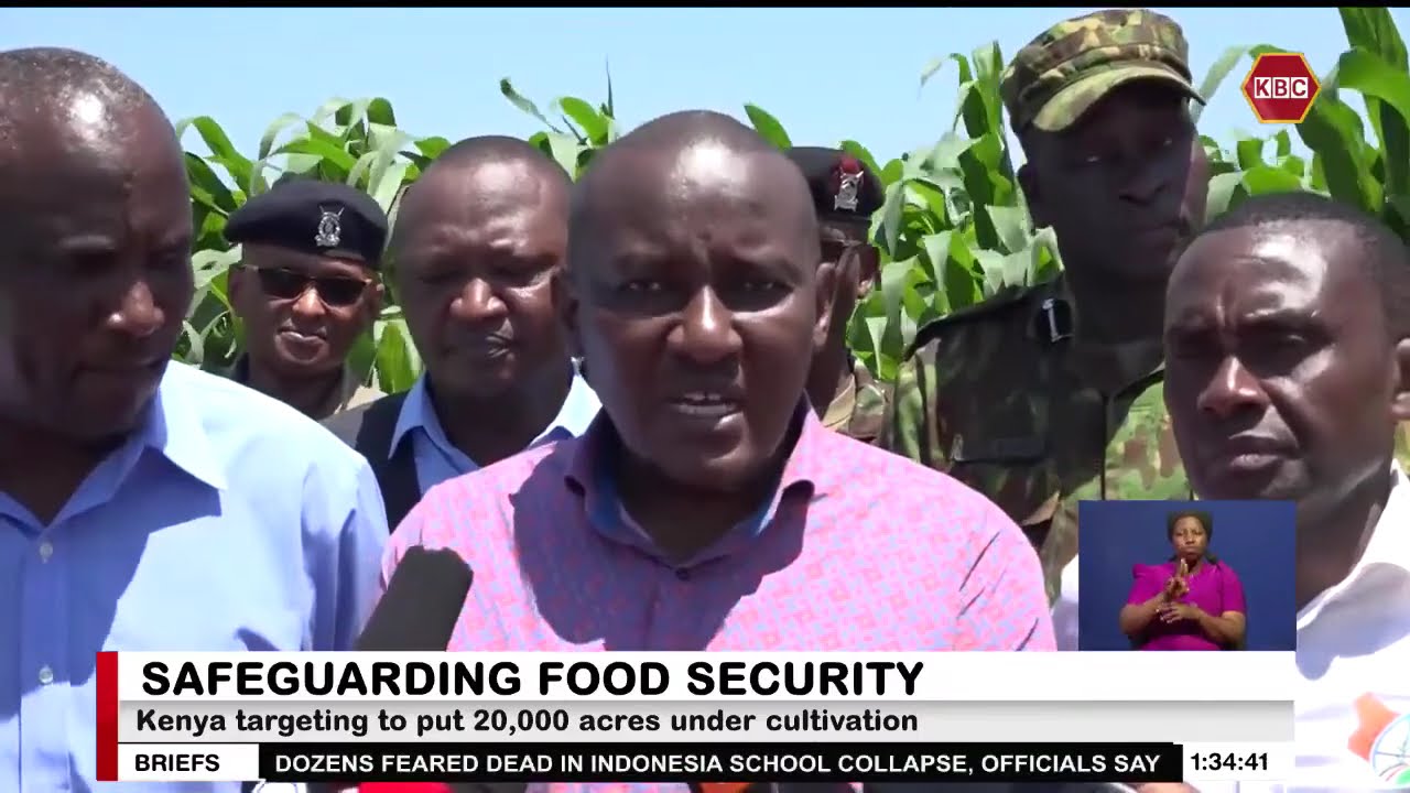 Galana Kulalu to begin first maize harvest under PPP next week