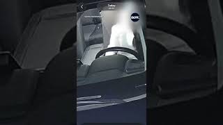 Brazen car theft caught on camera in Milton driveway