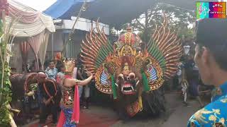 Jaranan Delta wangi paju Barong live in jajangan Songgon. ( Trailer )