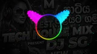 🔥 TRENDING Sinhala Tech House 2026 🎧