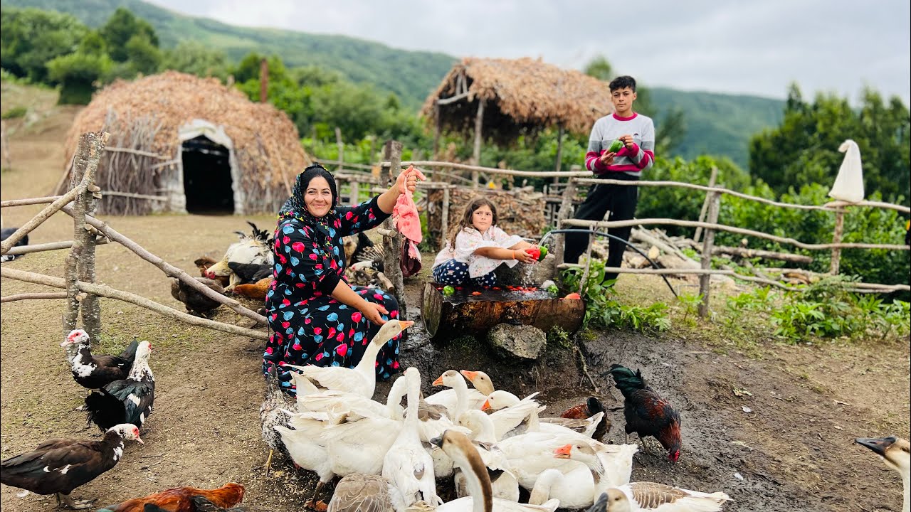 Epic Mountain Setup! Building Our Tent & Cooking Liver and Kidneys Over Fire