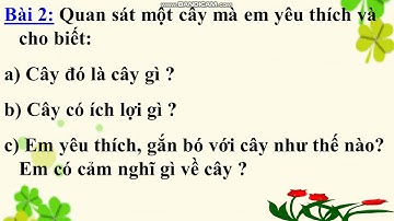 Tuần 26: Ngày 23/4 TLV LỚP 4 BÀI: LUYỆN TẬP XÂY DỰNG KẾT BÀI TRONG BÀI VĂN MIÊU TẢ CÂY CỐI