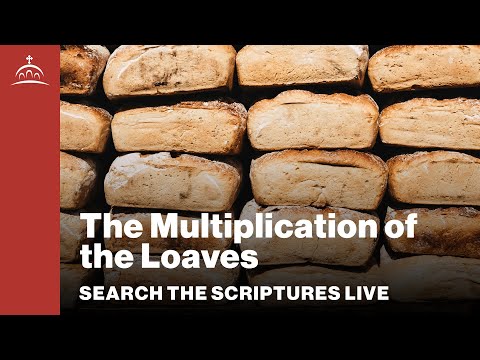 Search the Scriptures Live - The Multiplication of the Loaves [Matthew #59]