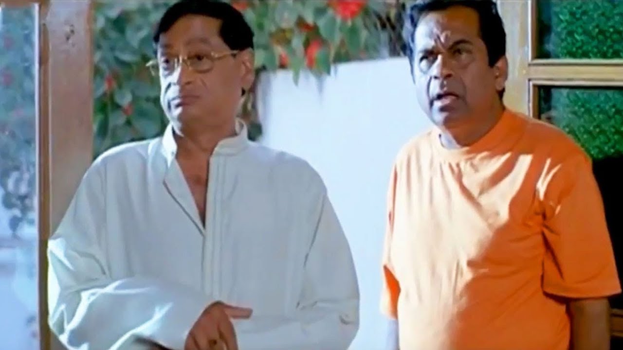 Ms Narayana, Babu Mohan & Brahmanandam Comedy Scenes That Will Make You ROFL | iDream