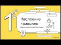 🎓 Фреймворк № 88 Наслоение и правило 2х минут