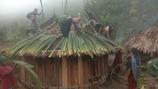 Honai, traditional wooden house of the West Papuan people.