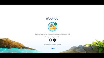 Business Analyst Certification Maintenance (Summer 