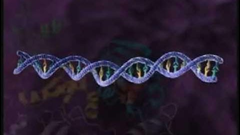 HIV Replication 3D Medical Animation