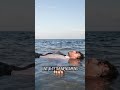 Pria Mabuk Terjun ke Laut Untuk Ambil HPnya yang Jatuh #shortvideos #shorts