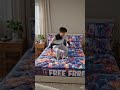 AI video cartoon video 2026 new video