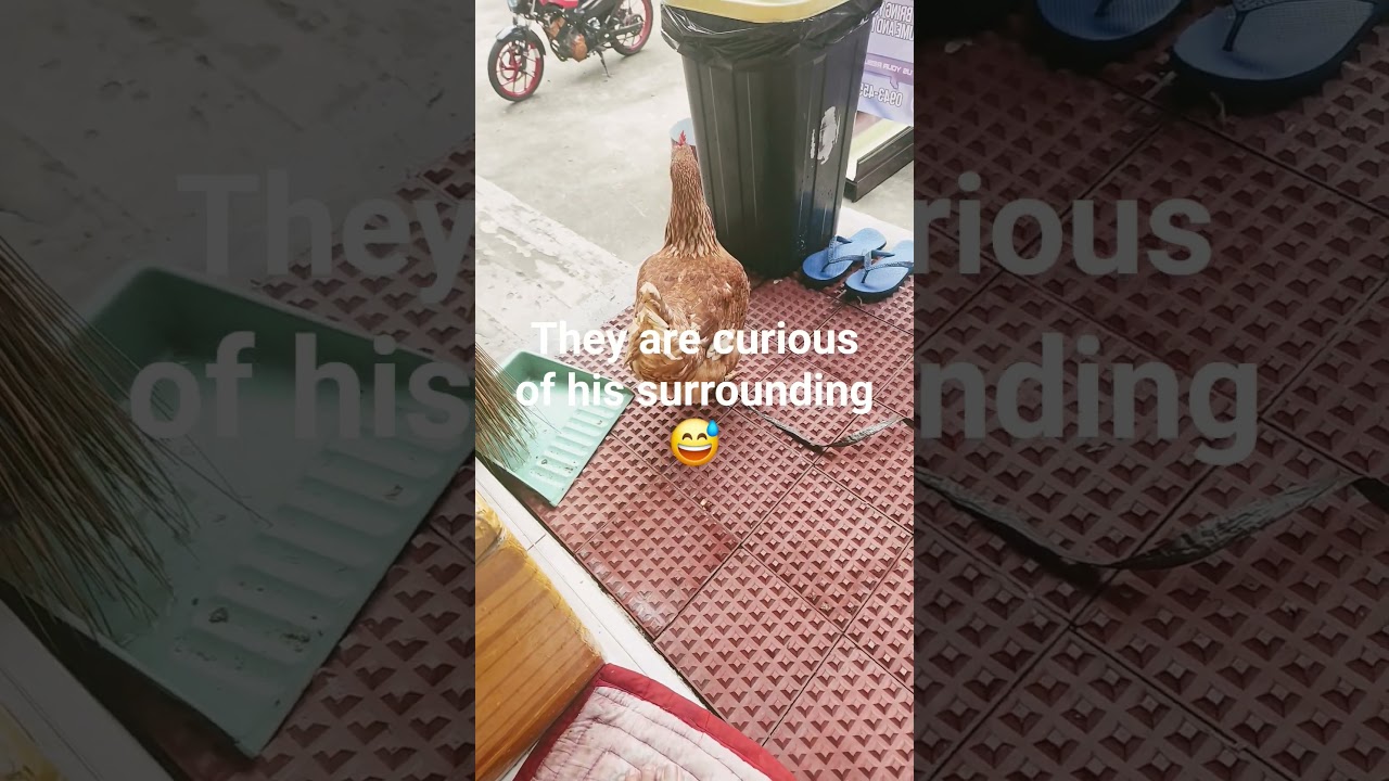 why I'm here what is this place 😅 