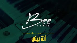 BEE REMIX 2025 | ريمكس انت بيني