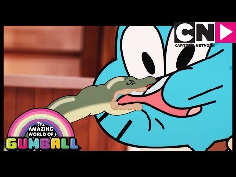 Gumball Türkçe | Yavru Köpek | Çizgi film | Cartoon Network Türkiye