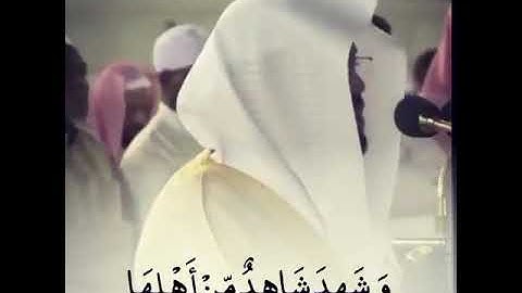 القارئ ياسر الدوسري | ارح سمعك.. تلاوة هادئة تريح القلب والعقل💙🎧