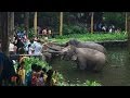 Сингапур - 06. ZOO Singapore