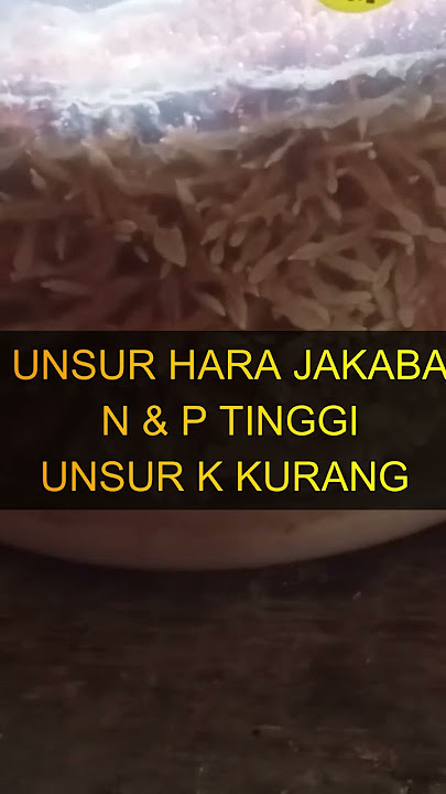 Ubah Unsur Hara Jakaba Menjadi NPK Super