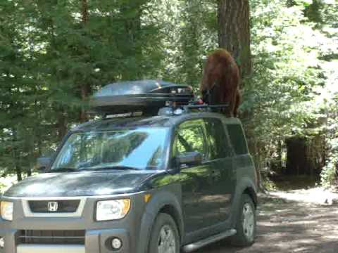 How To Get To Yosemite Without A Car How To Get To Yosemite Without A Car