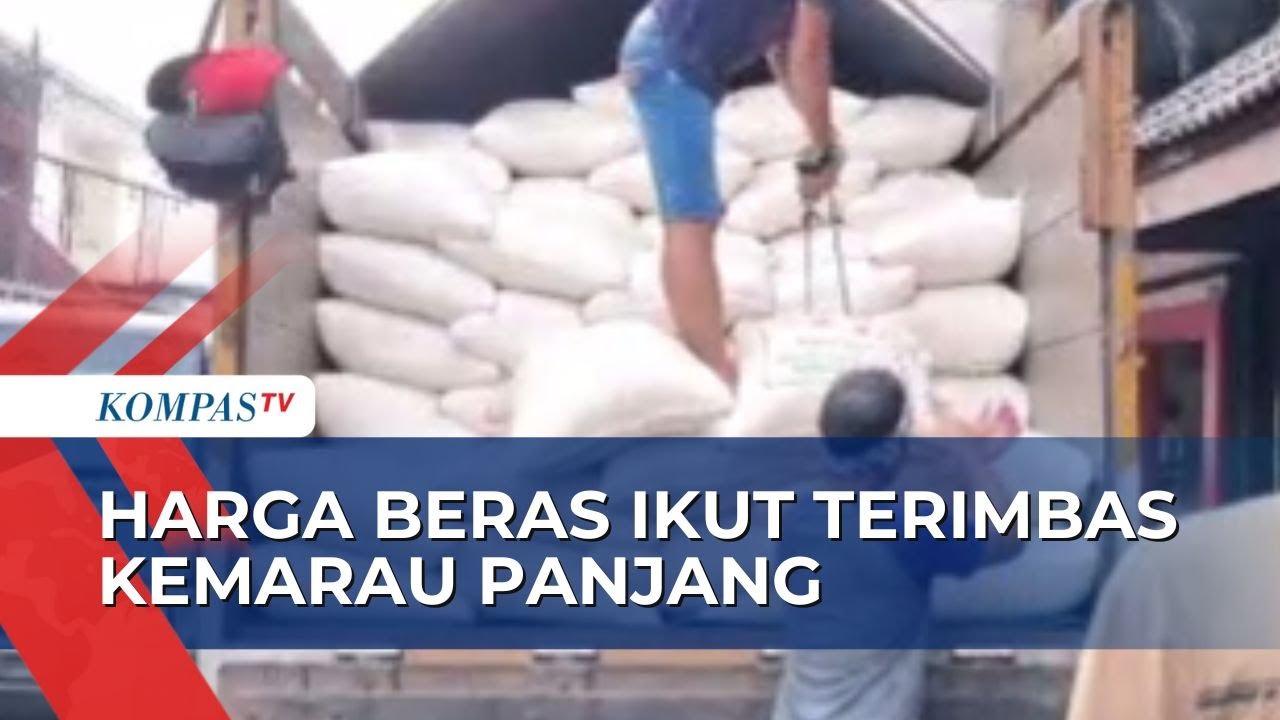 Terdampak Kemarau Panjang, Harga Beras di Tingkat Agen Naik Hingga Rp2 Ribu!
