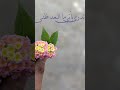 تدرى بأني ما البعد ظني بدون موسيقى